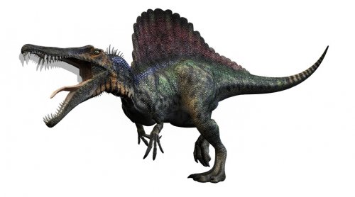 First Dinosaur ever known to swim, Dinosaur Paradise found by unlikely paleontologist