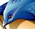 Two Chief Developers Leave Thunderbird