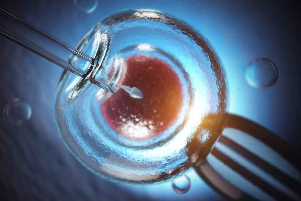 China’s failed gene-edited baby experiment proves we’re not ready for human embryo modification